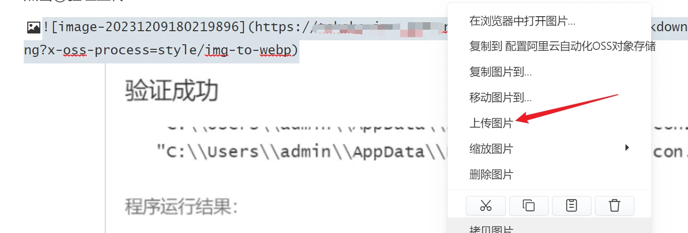 image-20231209181053664