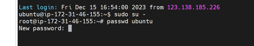 image-20231216010728847