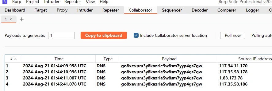 image-20240821095009237