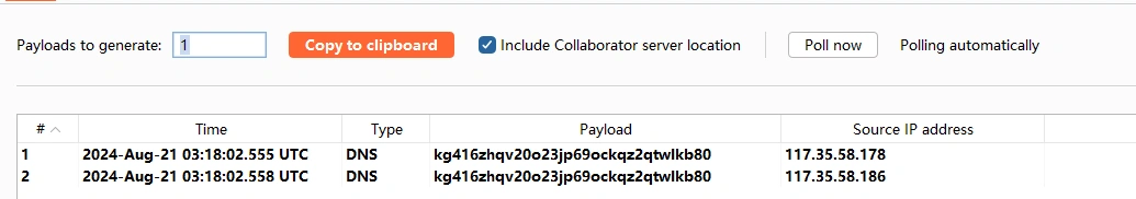 image-20240821111918663