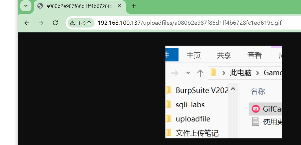 image-20241010220341873