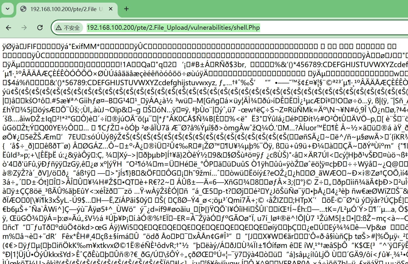 image-20241112002043253