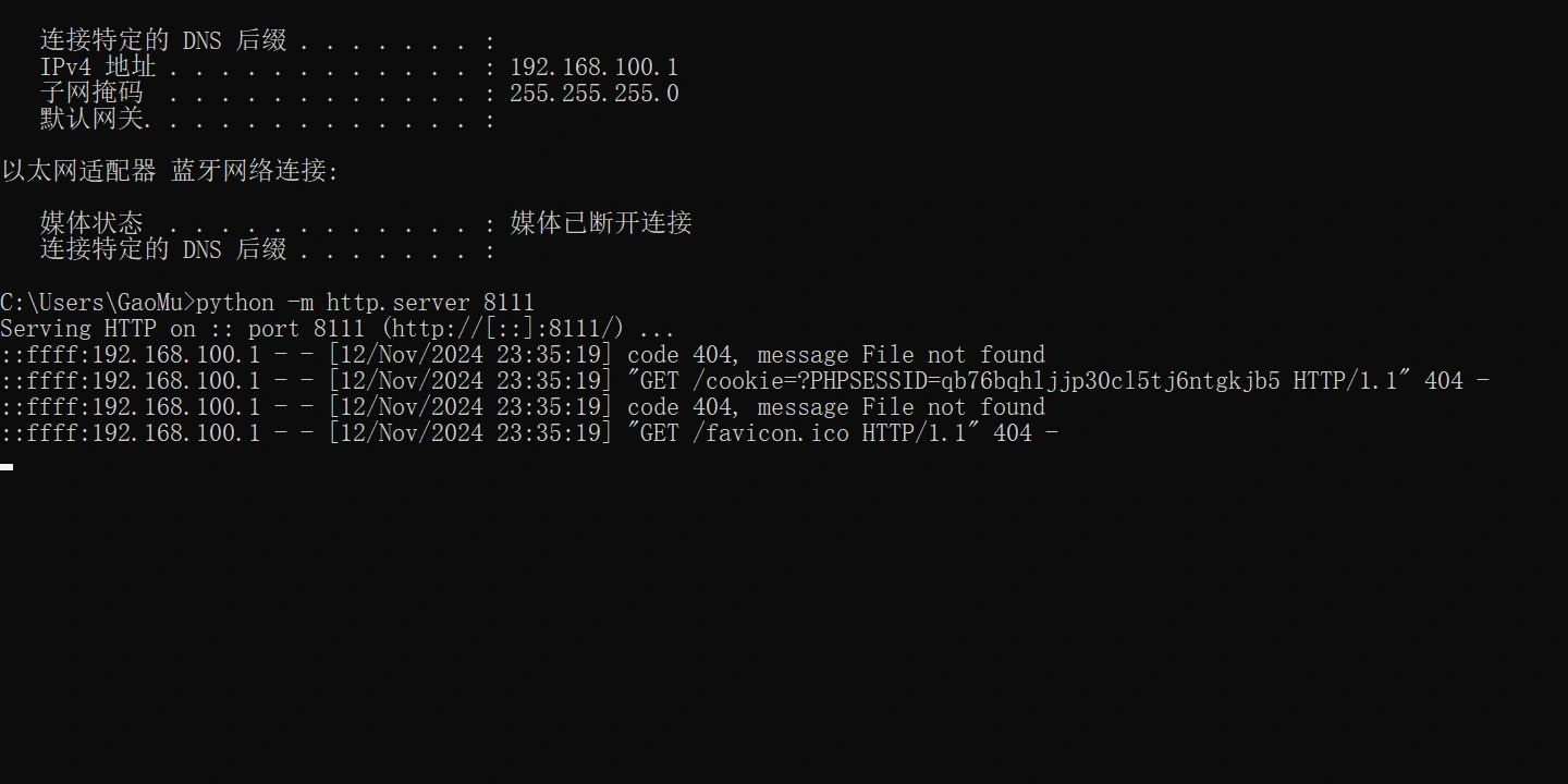 image-20241112233552317