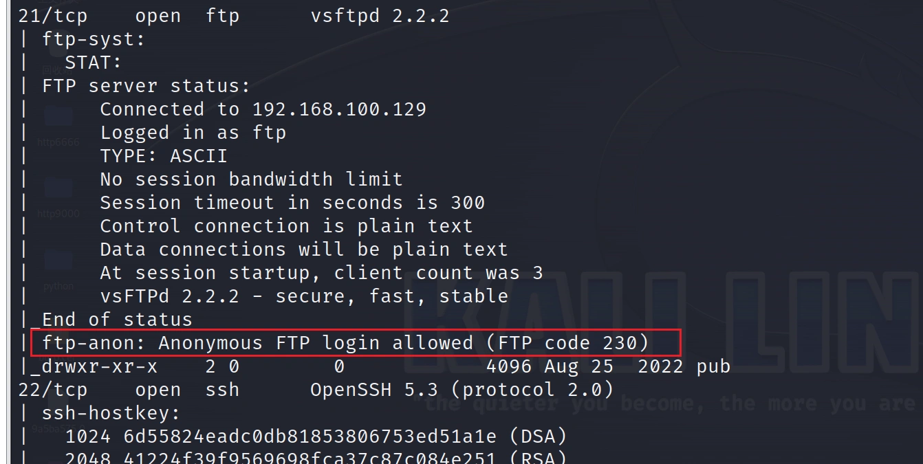 image-20241114001738955