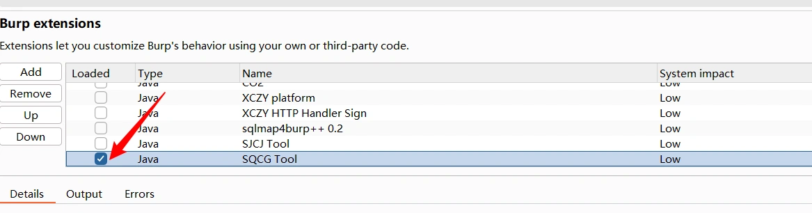 image-20250207103648936