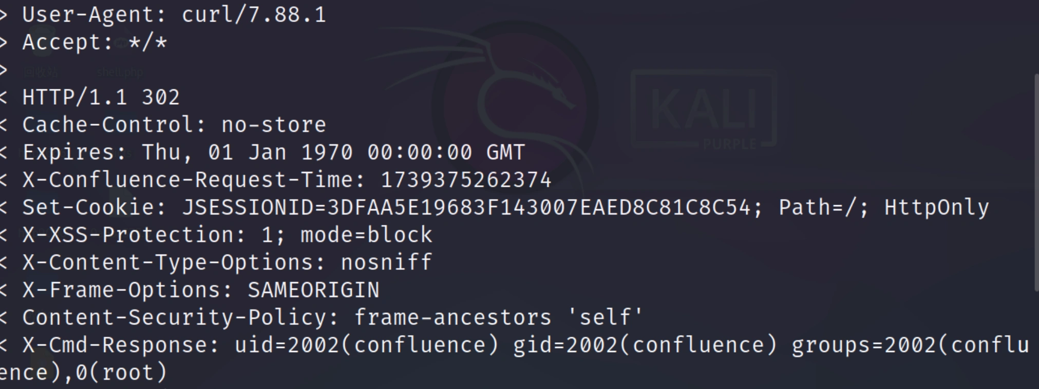 image-20250212235333412