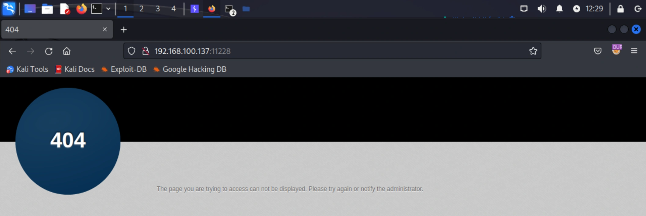 image-20250306012931178