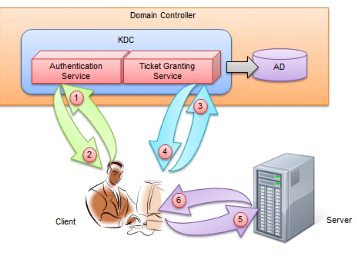 image-20250316134946431