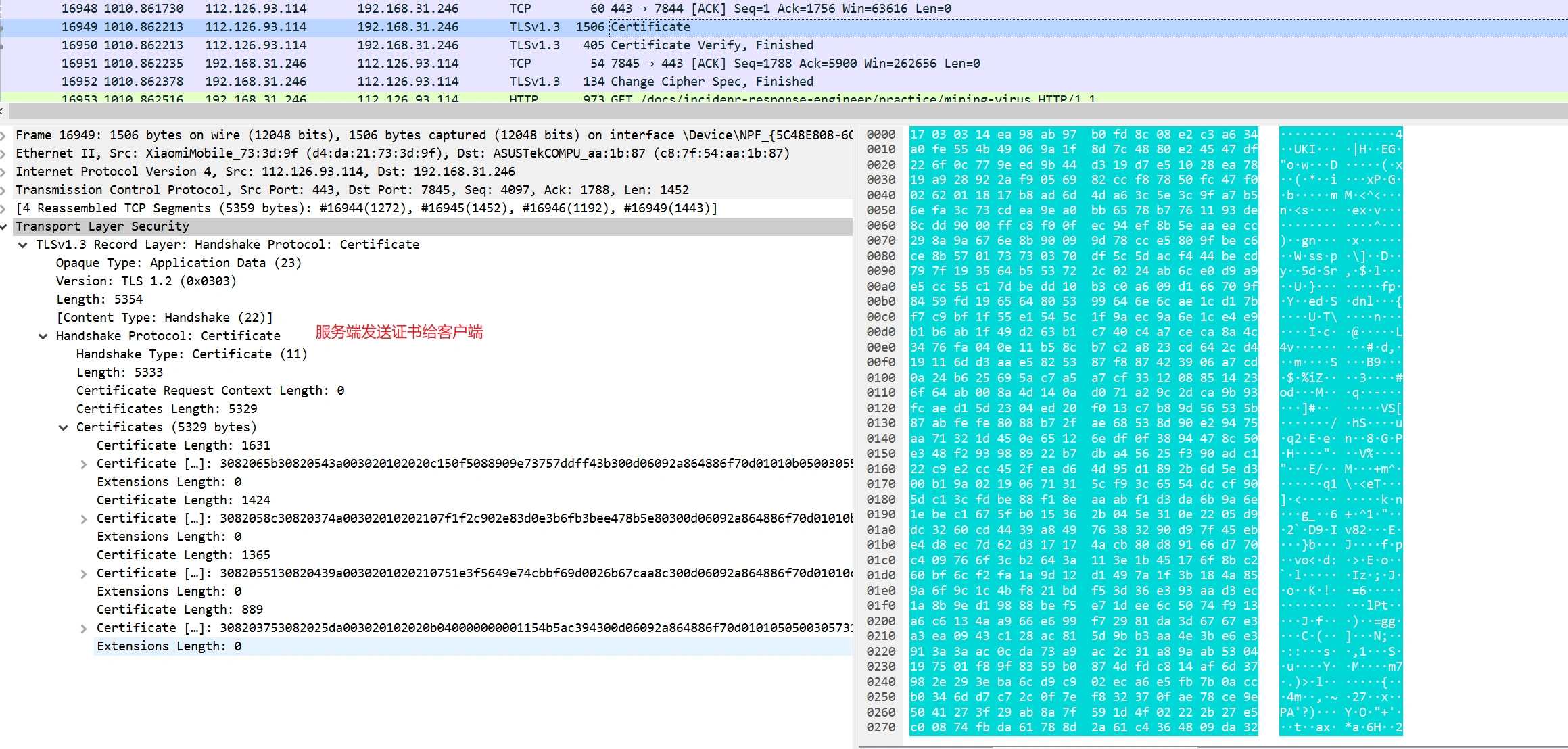 image-20250327003711052