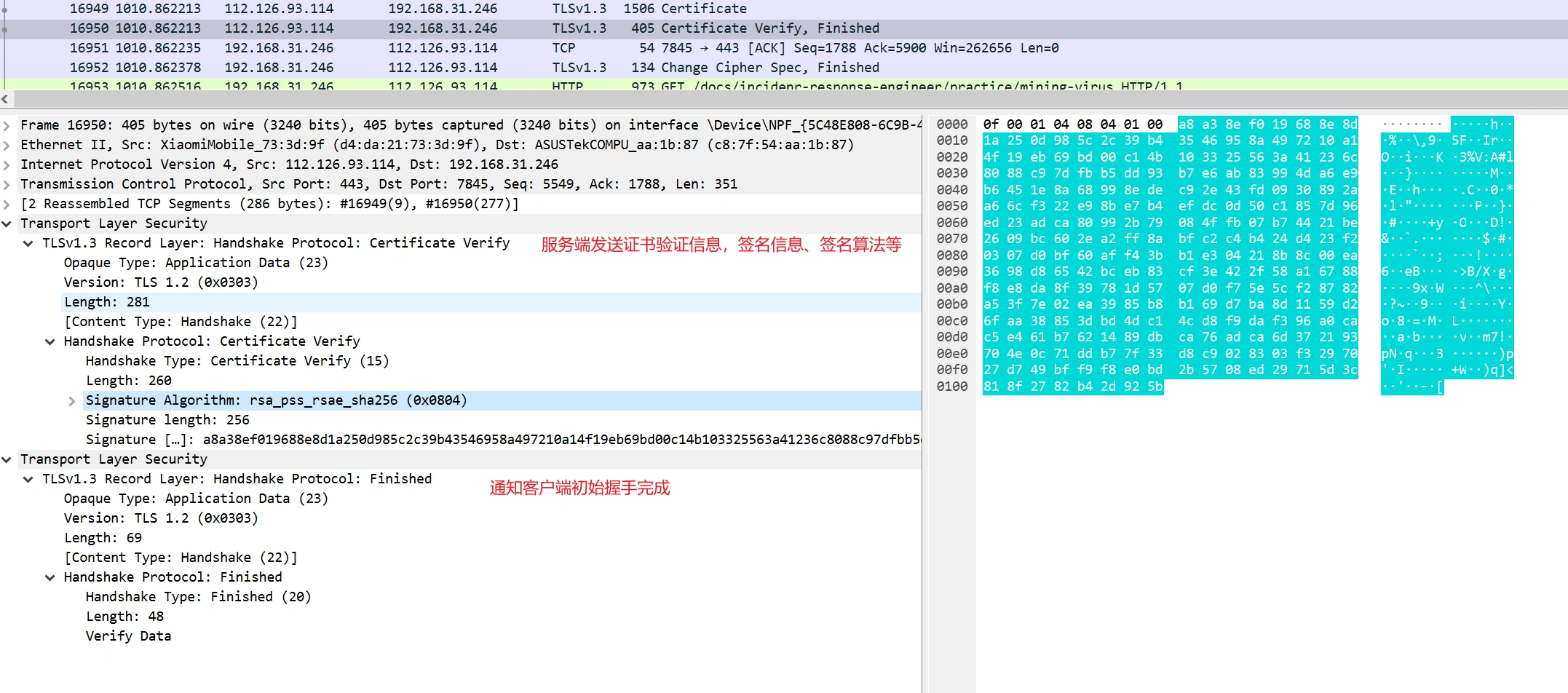 image-20250327004004420