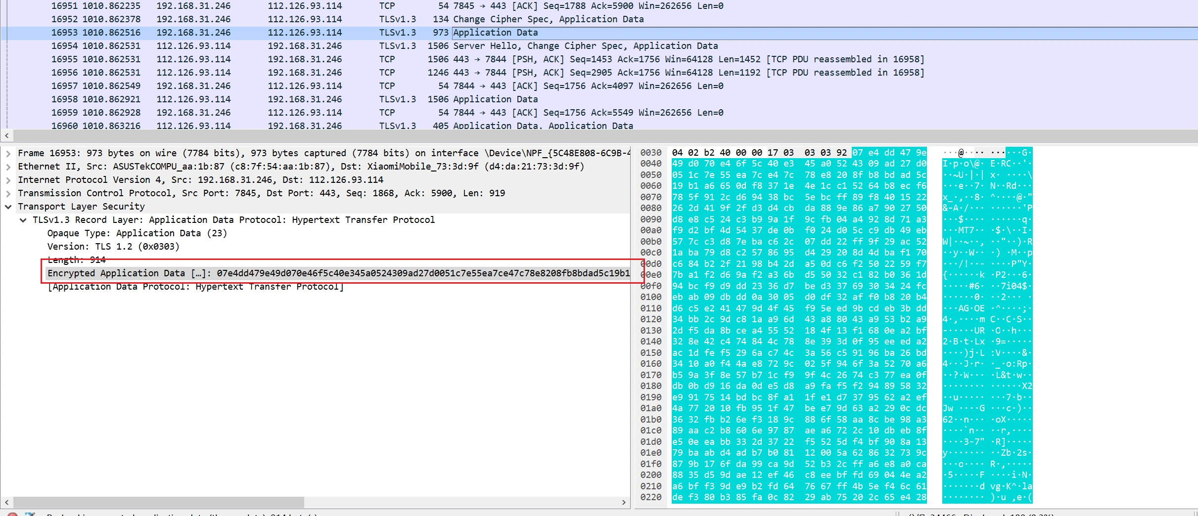 image-20250327005403526