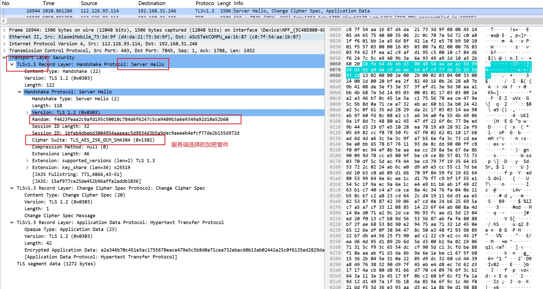 image-20250327011144349
